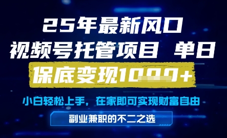 25年最新风口，视频号托管项目，单日保底变现1k+，手把手教学【揭秘】-阳明聊项目