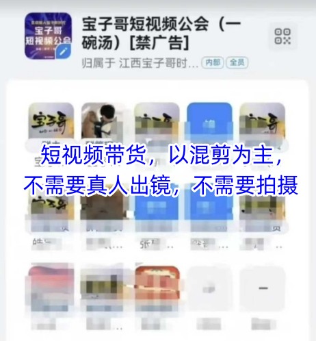 宝子哥头部团队短视频带货，以混剪为主，不需要真人出镜，不需要拍摄【更新】-阳明聊项目
