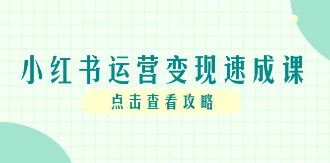 小红书运营变现速成课，账号搭建到暴力起号，个人IP全流程指南-阳明聊项目