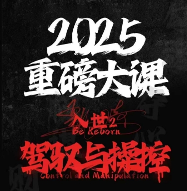 2025重磅大课，入世2，驾驭与控制-阳明聊项目