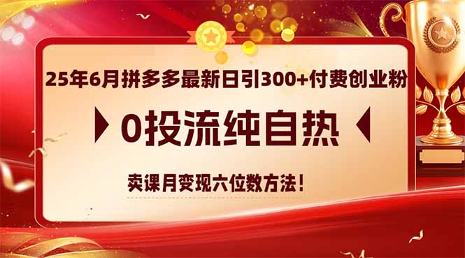 25年6月拼多多最新日引300+付费创业粉，0投流纯自热 卖课月变现六位数方法-阳明聊项目