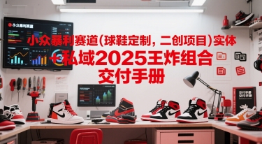 小众暴利赛道(球鞋定制，二创项目)实体+私域2025王炸组合  交付手册-阳明聊项目