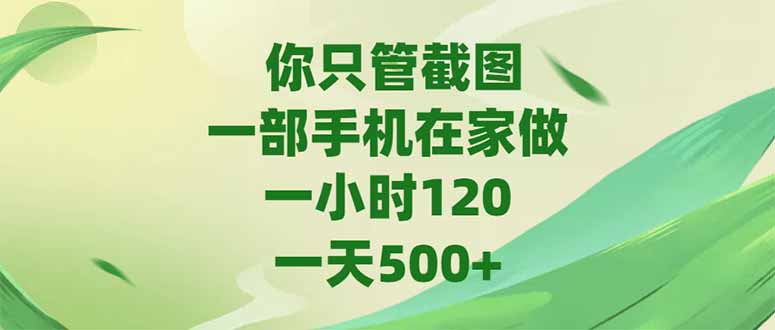 你只管截图，一部手机在家做，一小时120，-天500+-阳明聊项目