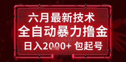 六月最新技术全自动暴力撸金，稳定日入2k+包起号，长期稳定【揭秘】-阳明聊项目