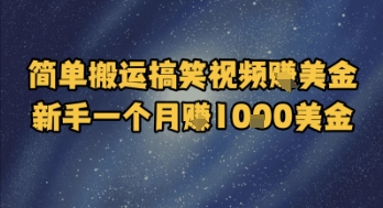 简单搬运搞笑视频挣美金，新手一个月入1k美金-阳明聊项目
