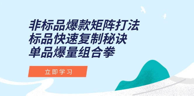 非标品爆款矩阵打法，标品快速复制秘诀，单品爆量组合拳-阳明聊项目