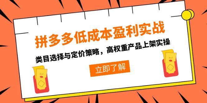 拼多多低成本盈利实战，类目选择与定价策略，高权重产品上架实操-阳明聊项目