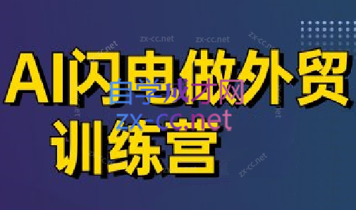 大卫·AI闪电做外贸训练营(更新6月)-阳明聊项目
