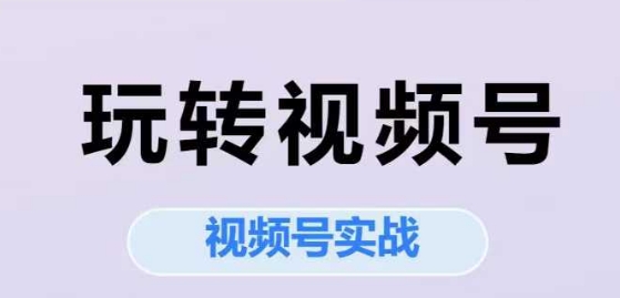 玩转视频号，视频号实战系列课-阳明聊项目