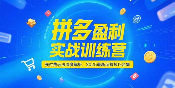 拼多多盈利实战训练营，强付费玩法深度解析，2025运营技巧合集-更新6月-阳明聊项目