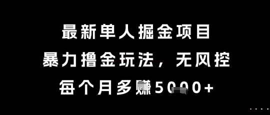 最新单人掘金项目，暴力撸金玩法，无风控，每个月多挣5k+【揭秘】-阳明聊项目