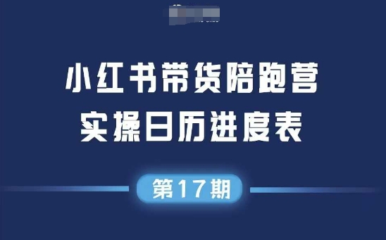 小红书第17期带货陪跑营，不囤货，无不直播，无不投流，通过选品+笔记内容+测品+笔记铺量+矩阵运营打爆款-阳明聊项目