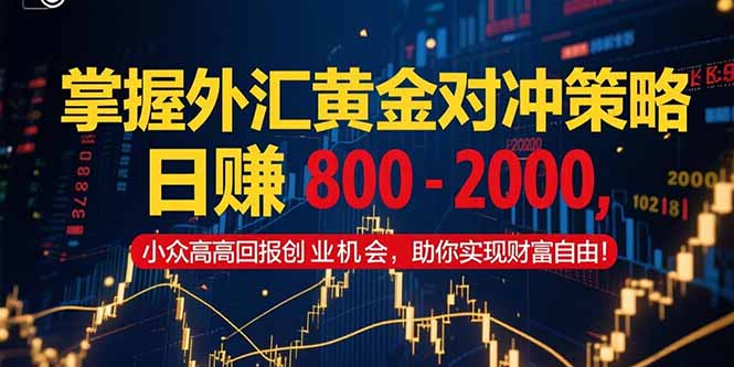 掌握外汇黄金对冲策略，日赚 800 – 2000，小众高回报创业机会，助你实…-阳明聊项目