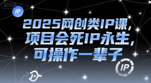 2025网创类IP课，项目会死IP永生，可操作一辈子-阳明聊项目
