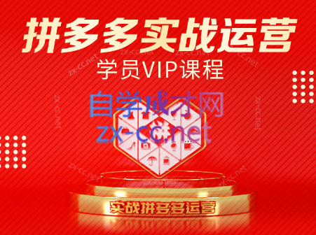 推易电商·拼多多实战运营课(更新2025月)-阳明聊项目