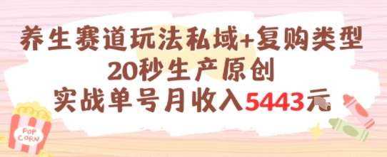 养生赛道玩法私域+复购类型，20秒生产原创实战单号月收入5k+-阳明聊项目
