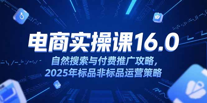 淘宝电商运营课16.0，自然搜索与付费推广攻略，2025年标品非标品运营策略-阳明聊项目