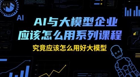 AI与大模型企业应该怎么用系列课程，究竟应该怎么用好大模型-阳明聊项目