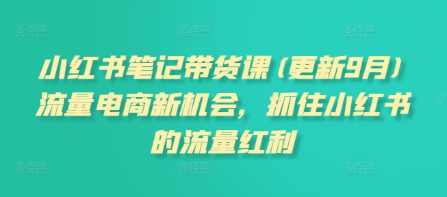 小红书笔记带货课(更新25年6月)流量电商新机会，抓住小红书的流量红利-阳明聊项目