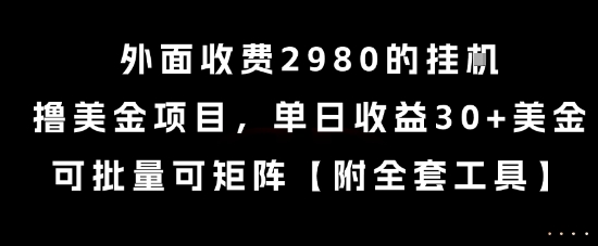 外面收费2980的挂G撸美金项目，单日收益30+美金，可批量可矩阵【揭秘】-阳明聊项目