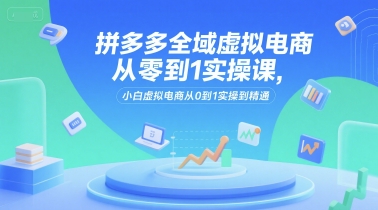 拼多多全域虚拟电商从零到1实操课，小白虚拟电商从0到1实操到精通-阳明聊项目