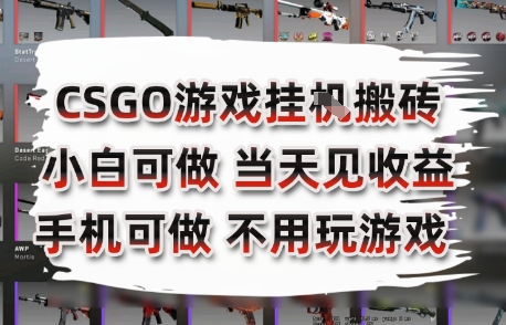 CSGO游戏挂G搬砖，小白纯手机即可操作，不用电脑打游戏，日入3张+，副业网创项目【揭秘】-阳明聊项目