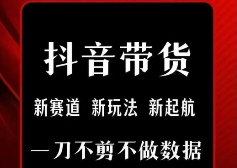 抖音短视频一刀不剪带货，不剪辑，不直播，每天发个视频，等着出单获取带货佣金-阳明聊项目