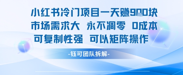 小红书冷门项目一天收益9张，市场需求大，0成本，可复制性强可以矩阵操作-阳明聊项目