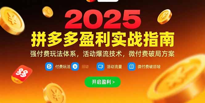 拼多多盈利实战指南，强付费玩法，活动爆流技术，微付费破局方案(更新7月-阳明聊项目