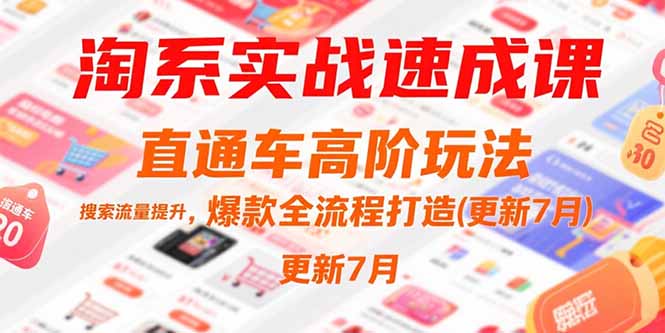 淘系实战速成课，直通车高阶玩法，搜索流量提升，爆款全流程打造(更新7月-阳明聊项目