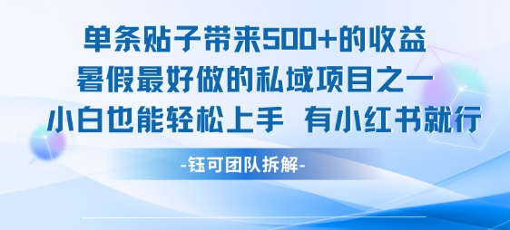 单条贴子带来5张的收益，暑假最好做的私域项目之一，小白也能轻松上手，有小红书就行-阳明聊项目
