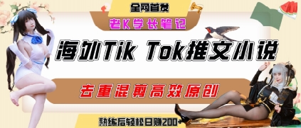 海外tiktok小说推文暴力项目，高停留率，高转化率，上手后一天搞顿饭钱不是问题-阳明聊项目