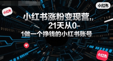 小红书涨粉变现营，21天从0-1做一个挣钱的小红书账号-阳明聊项目