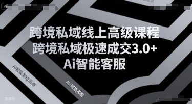 跨境私域线上高级课程，跨境私域极速成交3.0+Ai智能客服-阳明聊项目