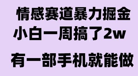 情感暴力掘金项目，新人操作一周挣了2W，长期稳定小白可做【揭秘】-阳明聊项目