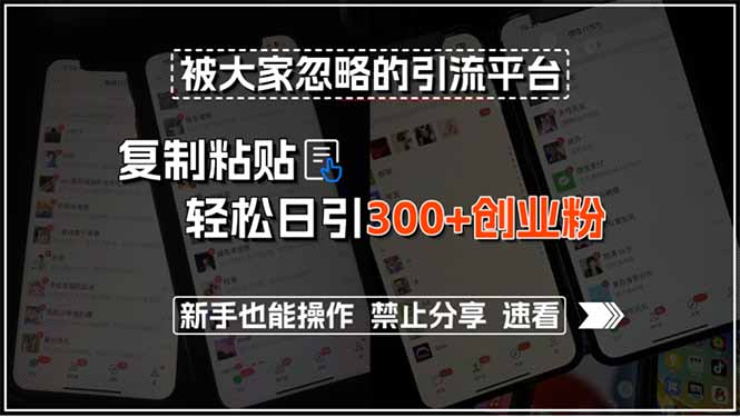 被大家忽略的引流平台，复制粘贴轻松日引300+创业粉，新手也能操作，禁…-阳明聊项目