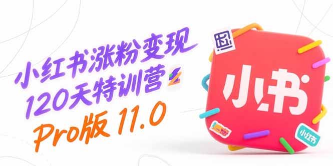 小红书涨粉变现120天特训营Pro版11.0：从0到1掌握平台运营,内容制作和变现-阳明聊项目